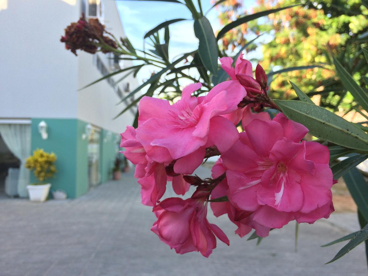 ז'אבואטו דוס גוארראפס Scenarium Hotel מראה חיצוני תמונה